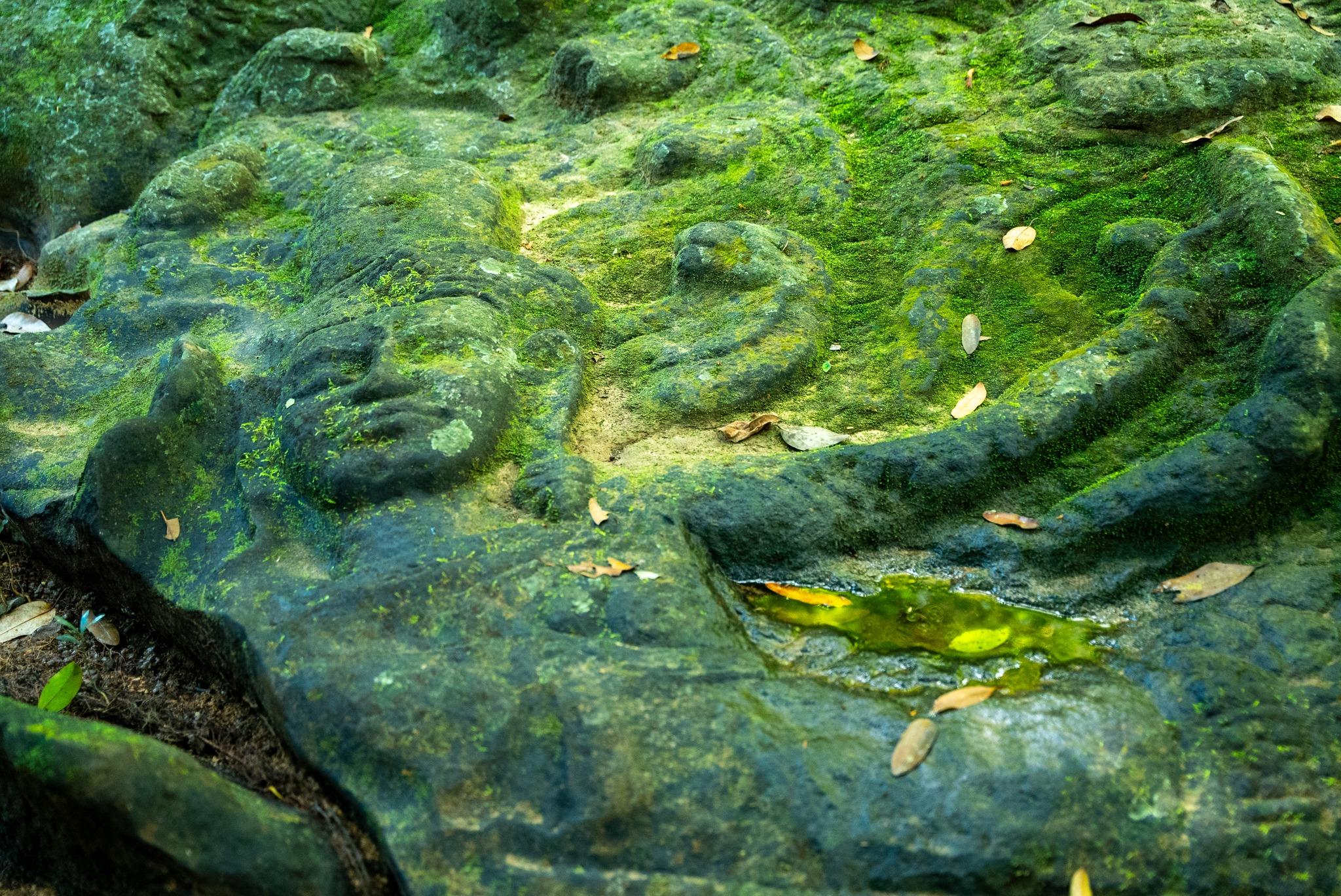 Phnom Kulen Story underwater